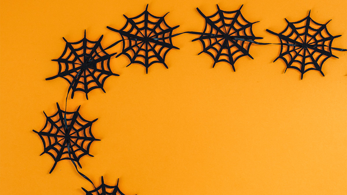 Halloween Spiderweb Doormat