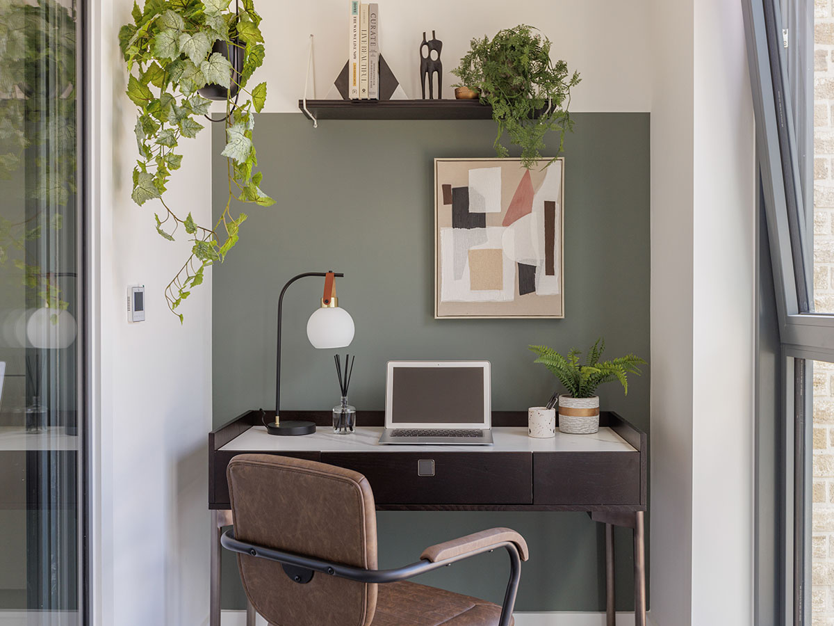 Haydon development workspace with desk, laptop & plants