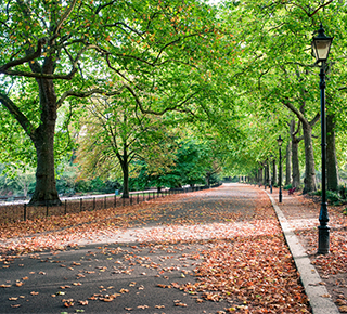 Battersea Park