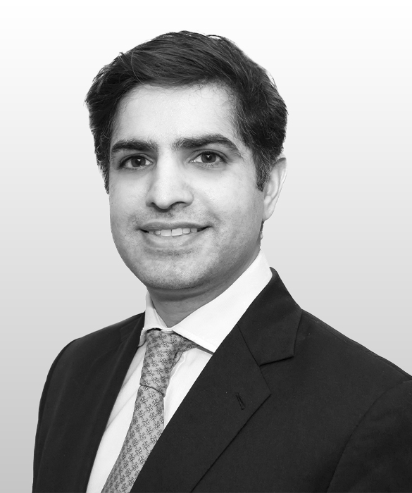 Vidhur Mehra
