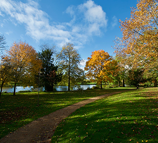 Caversham Court Gardens