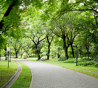 Brook Green Park