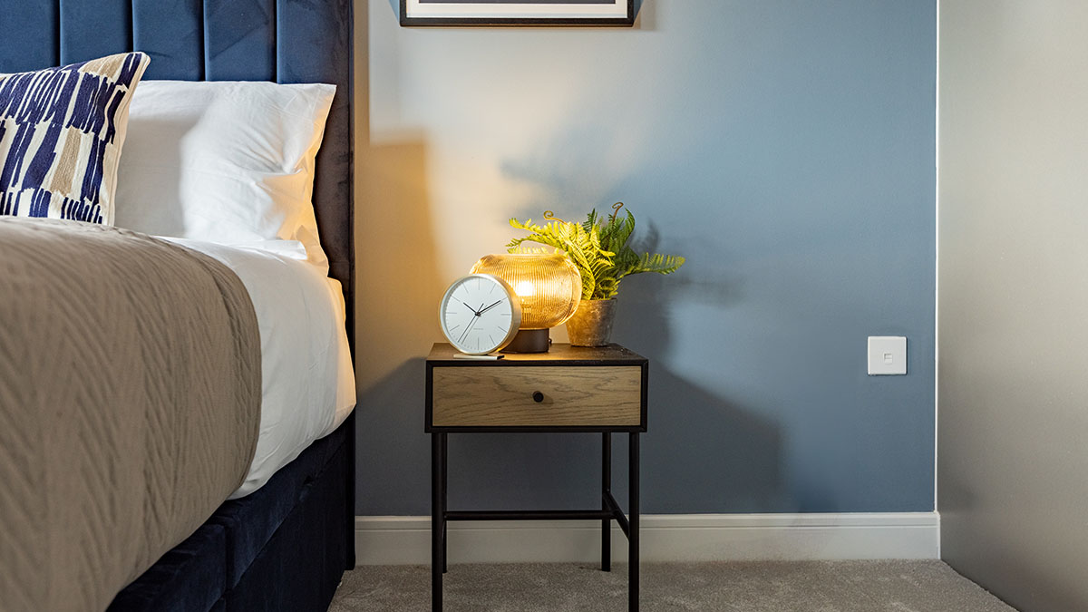 Contemporary bedroom with a blue upholstered bed, wooden bedside table, illuminated lamp, decorative plant, and soft grey accent wall.