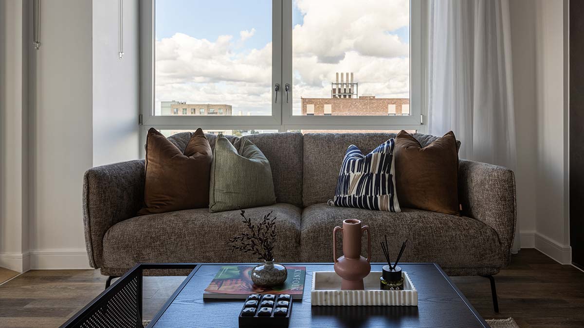 Contemporary living room with grey sofa and decorative cushions in a modern apartment